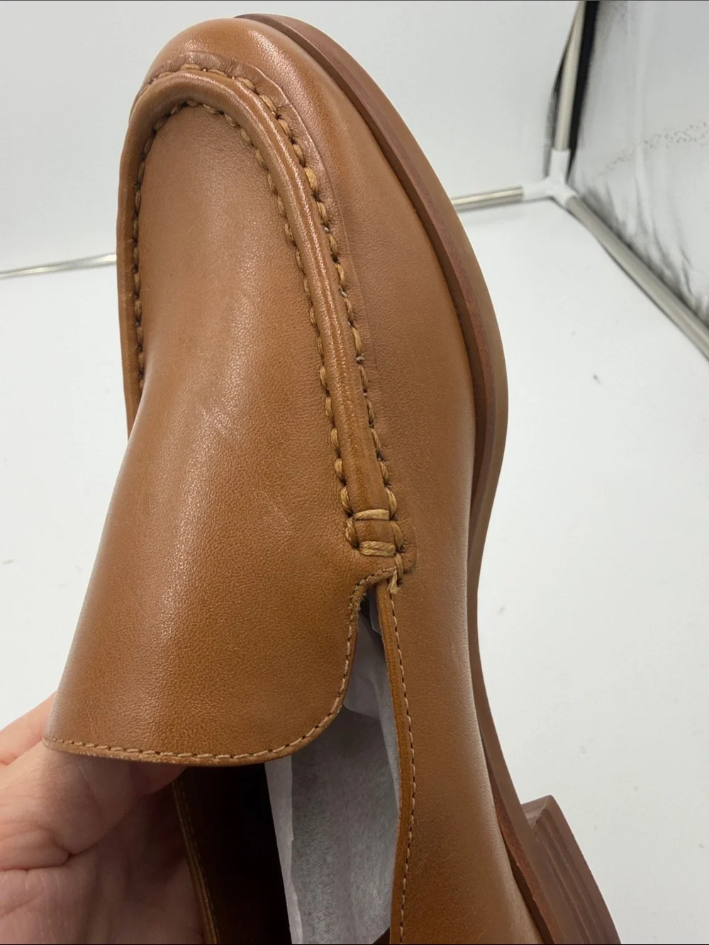 Everlane new camel